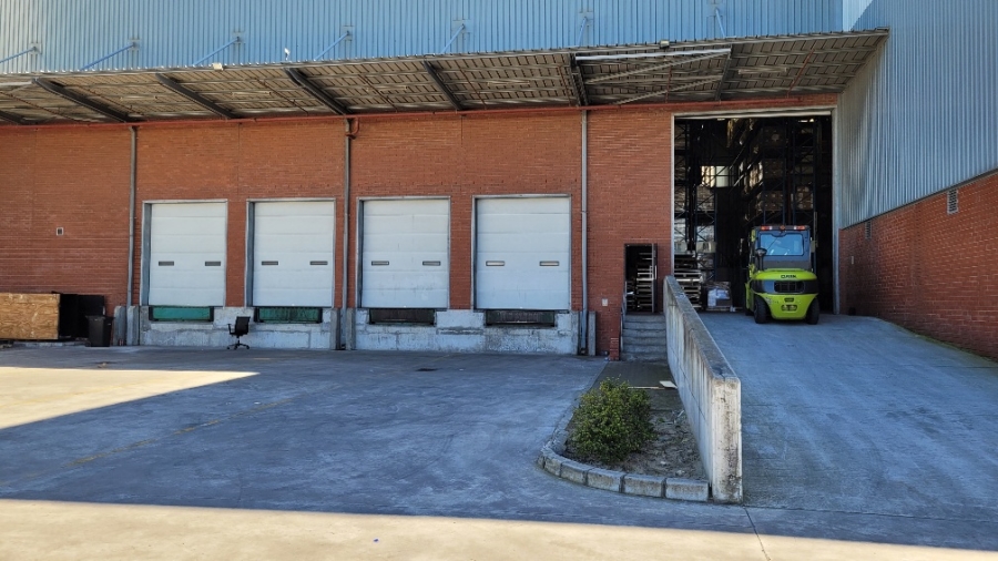 To Let commercial Property for Rent in Airport Industria Western Cape